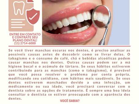 Você Sabia? 2023 - Abril